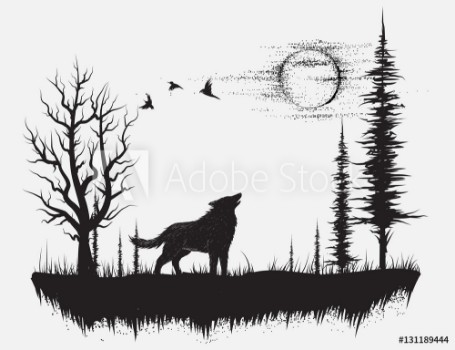 Picture of Wolf howling at the moon